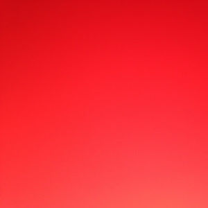 Meet your Posher, Scarlett